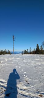 Photo de Harald Paroubek le long du parcours