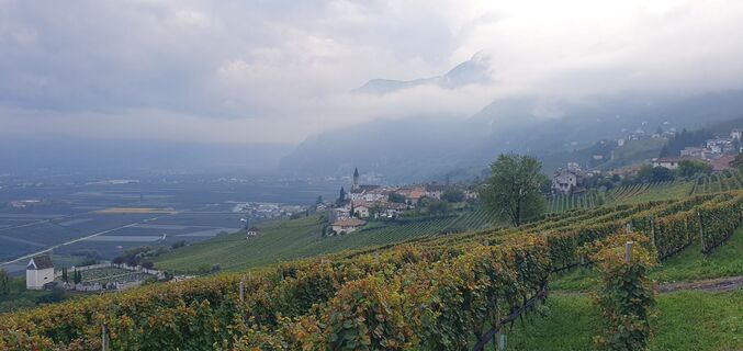 Foto von Stefan Jung 4 entlang der Tour