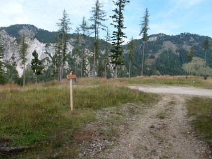 Abzweigung zur Adambaueralm