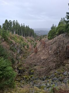 Foto de Wollomator a lo largo del recorrido