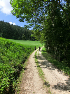 Wanderer bei Streichen