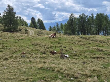 Foto de Patrick Unger a lo largo del recorrido