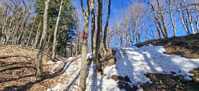Foto von Mario Thomaschütz entlang der Tour