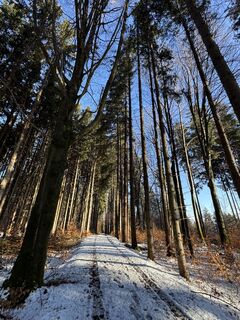 Foto von Denise Miller entlang der Tour