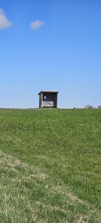 Foto från garrincha under resans gång