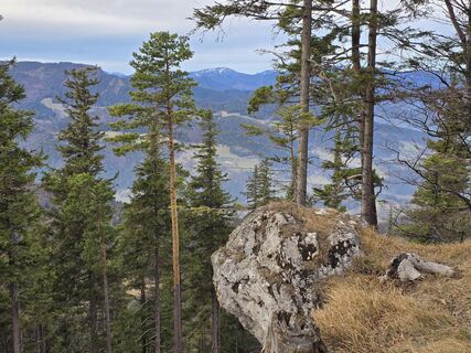 Photo de TwilightTea le long du parcours