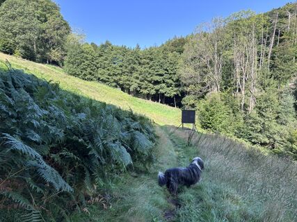 Fotografie z Momo na trase