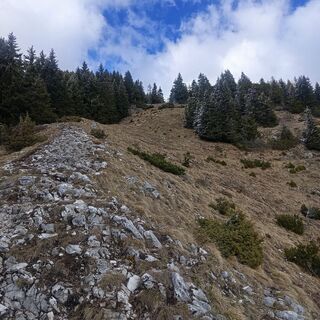 Foto von Sanel Mehurovic entlang der Tour