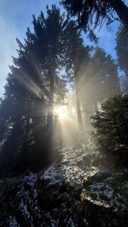 Fotografija s spletne strani Andreja na poti