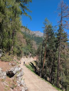 Photo de Branin le long du parcours