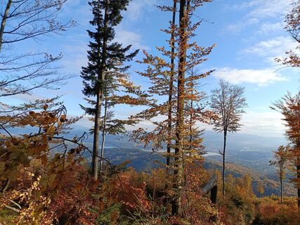 Fotografija s spletne strani Adam Akwen na poti