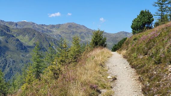 Foto von Gerrit van der Linde entlang der Tour