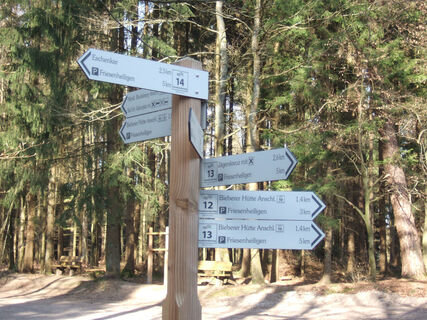 Startpunkt am Friesenheiligen