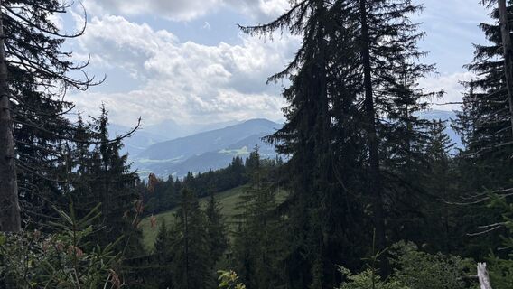 Foto von Josefine Meves entlang der Tour