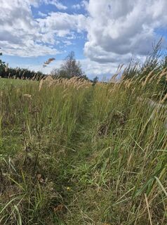 Photo de Frellie le long du parcours