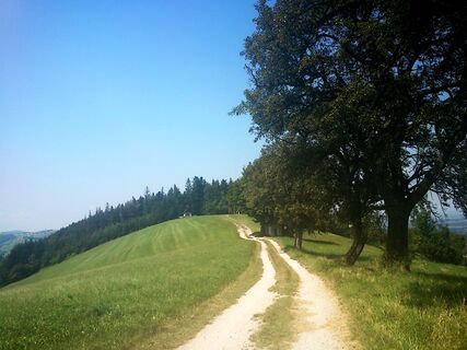 Weg zur Hubertuskapelle