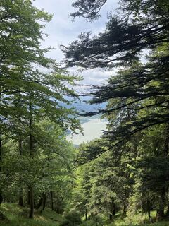 Foto von Tatjana Kazler entlang der Tour