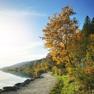 Promenade am Großen Alpsee