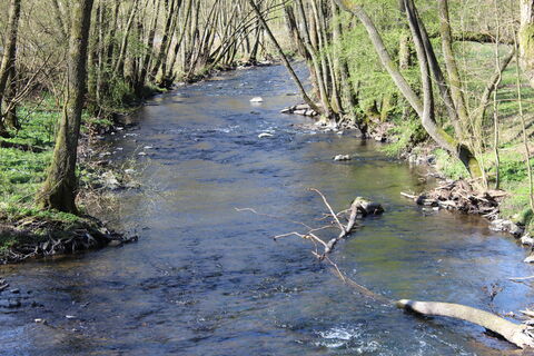 Ennepetal_Ennepe am Hohenstein