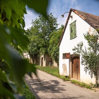 Kellergassse Göttlesbrunn