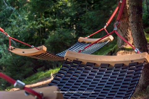 HÄNGEMATTENPLATZ PILLBERG GRAFENAST