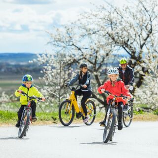 Bike Buddies Burgenland