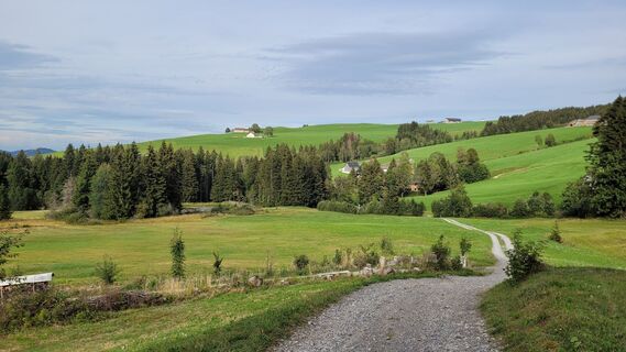 Photo de Wanderfreund le long du parcours