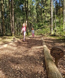 Station "Tierweitsprung" auf dem Walderlebnisweg Hechingen