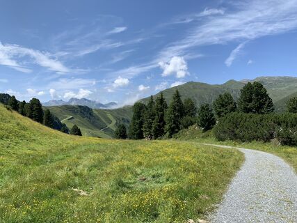 Foto von Koen De Wit entlang der Tour