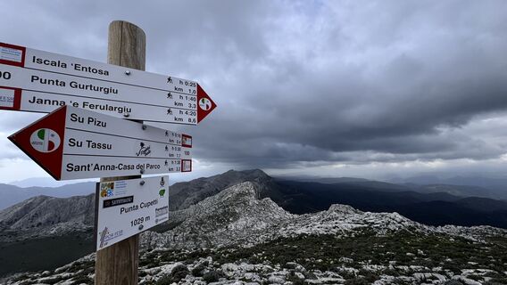 Photo de Giuseppe Deiana le long du parcours