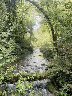 Photo de GabrielSR76 le long du parcours