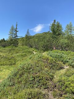 Foto von Erika Barth entlang der Tour