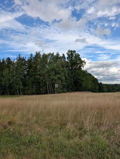 Foto de Marko Xxx a lo largo del recorrido