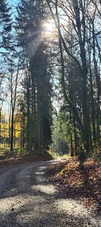 Foto von Bettina Brudermann entlang der Tour