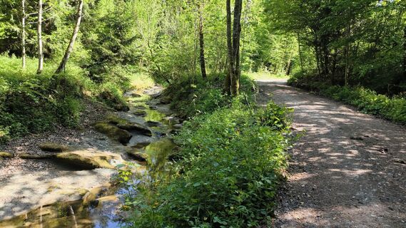 Photo de Adi Lechner le long du parcours