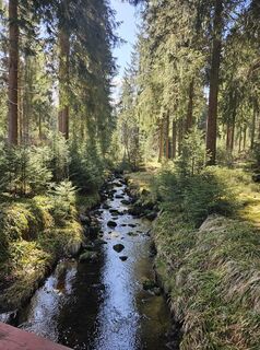 Foto von Dagmar Beierlein entlang der Tour