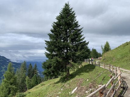 Fotó a Koen De Wit honlapról a túra során
