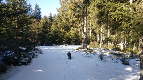 Fotografia z Thomas Schalko na trase