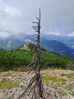Fotografija s spletne strani filmal 1 na poti