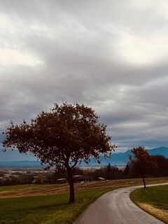 Foto von Susanne entlang der Tour