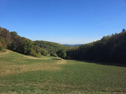 Foto von Manfred Mueri entlang der Tour