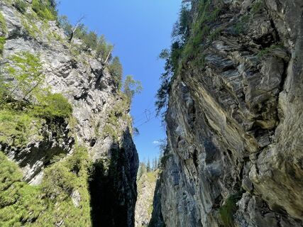 Photo de pedaklaus le long du parcours