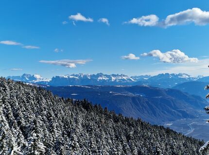 Foto von Mario Augustini entlang der Tour
