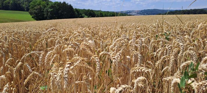 Fotó a Wanderbursche66 honlapról a túra során