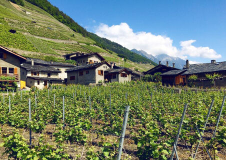 Weiler Plan Cerisier bei Martigny