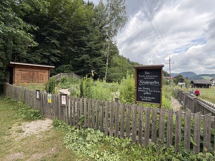 Fotografie z Babs Holz na trase