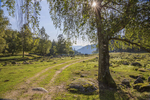 Westweg Etappe 8, Schonach, Wanderweg bei Schonach