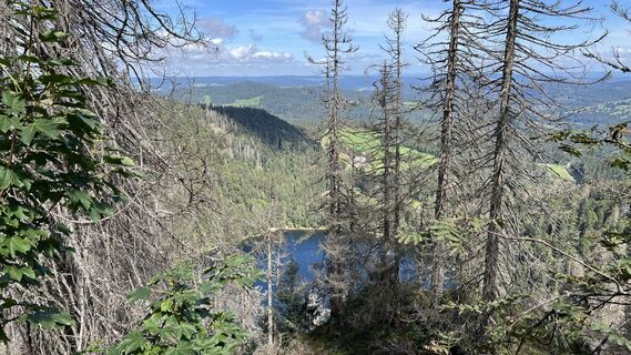 Foto från Volki F. under resans gång