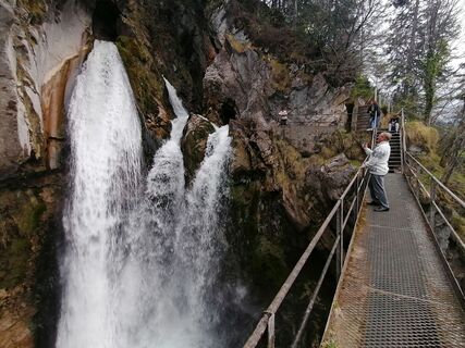 Fotografija s spletne strani luyyy na poti