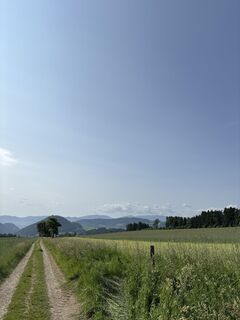 Fotografia z Mandy Friedrich 1 na trase